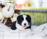 Small #28 Breeder Profile image