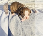 Small #3 Breeder Profile image