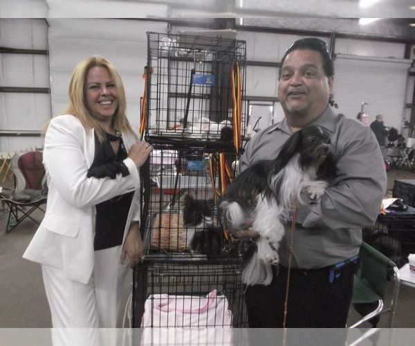 Medium Photo #8  Breeder Profile in MIDDLEBURG, FL, USA