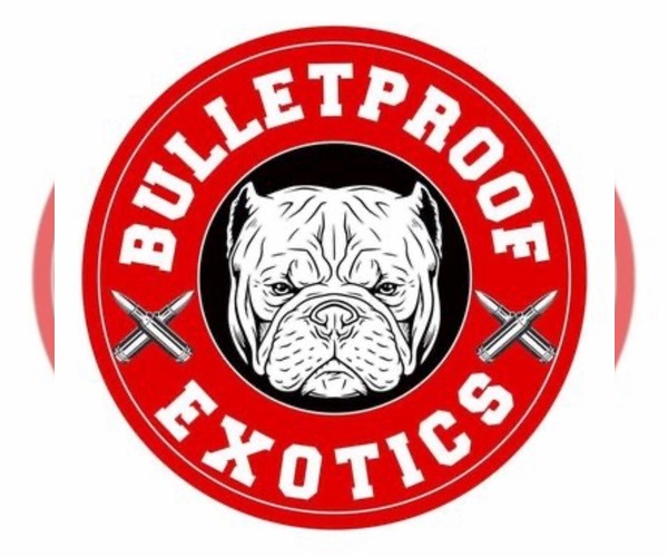 Medium Photo #1  Breeder Profile in CLUTE, TX, USA