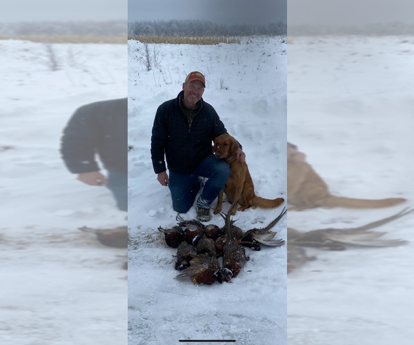 Medium Photo #4  Breeder Profile in BRAINERD, MN, USA