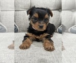 Small #3 Breeder Profile image