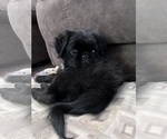 Small #31 Breeder Profile image