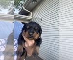 Small #1 Breeder Profile image