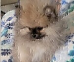 Small #18 Breeder Profile image