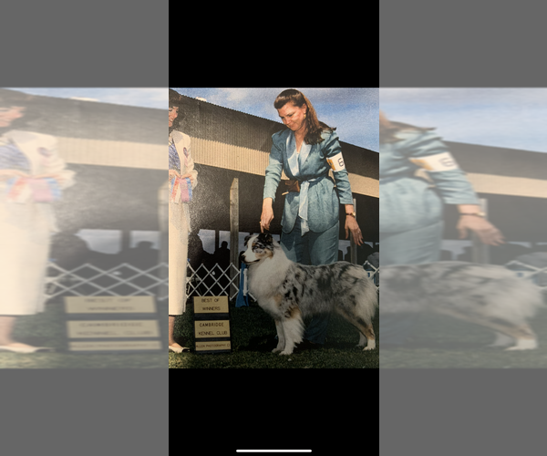 Medium Photo #11  Breeder Profile in SHERMAN, TX, USA