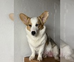 Small #14 Breeder Profile image