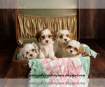 Small Photo #1  Breeder Profile in LEBANON, TN, USA