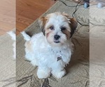Small #3 Breeder Profile image