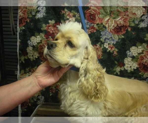 Medium Photo #1  Breeder Profile in SAND LAKE, MI, USA