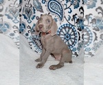 Small #4 Breeder Profile image