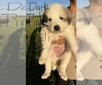Small #12 Breeder Profile image