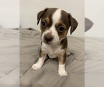 Small #1 Breeder Profile image