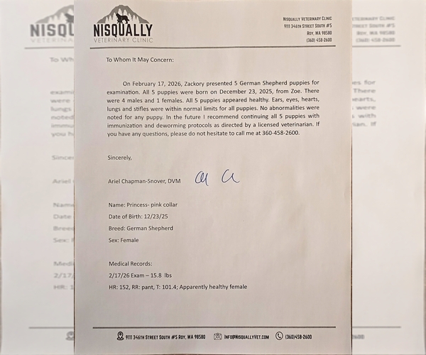 Medium Photo #11  Breeder Profile in ROCHESTER, WA, USA