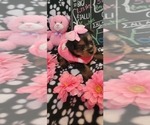 Small #238 Breeder Profile image