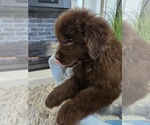 Small #23 Breeder Profile image