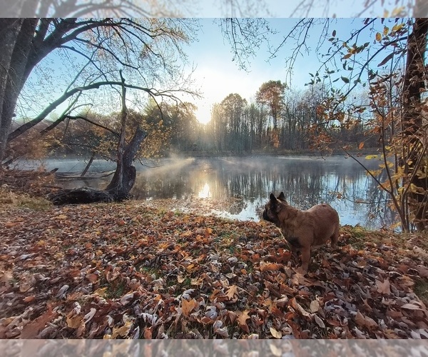 Medium Photo #1  Breeder Profile in HERSEY, MI, USA