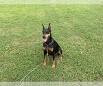 Small #4 Breeder Profile image