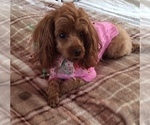 Small #4 Breeder Profile image