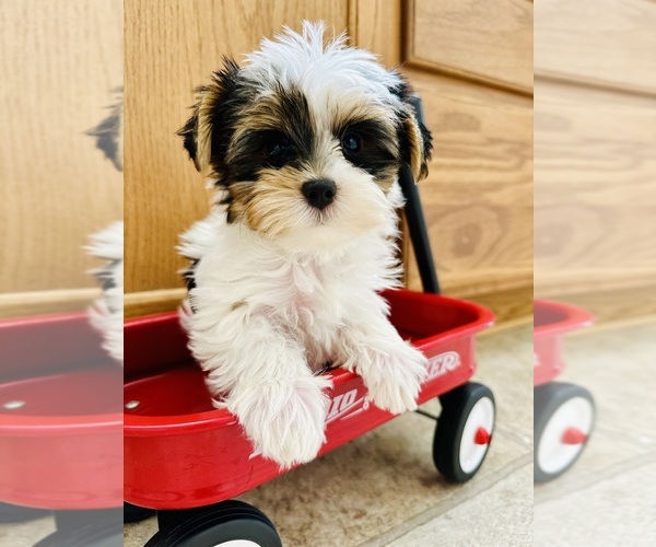 Medium Photo #5  Breeder Profile in FRESNO, CA, USA