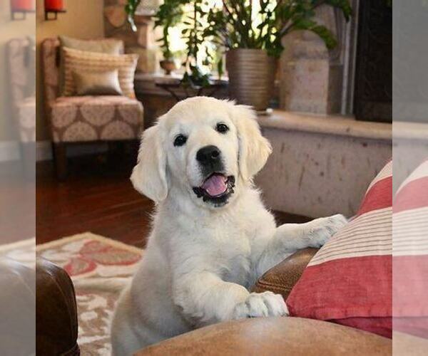 Medium Photo #11  Breeder Profile in MEDFORD TOWNSHIP, NJ, USA