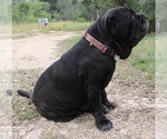 Small #23 Breeder Profile image