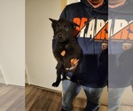 Small #3 Breeder Profile image