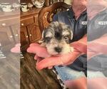 Small #4 Breeder Profile image