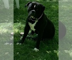 Small #57 Breeder Profile image