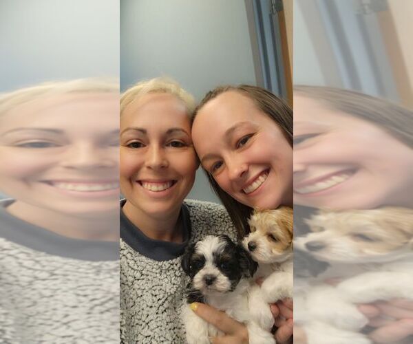 Medium Photo #1  Breeder Profile in MIDDLETOWN, IN, USA