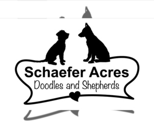 German Shepherd Dog Dog Breeder near FORT WAYNE, IN, USA