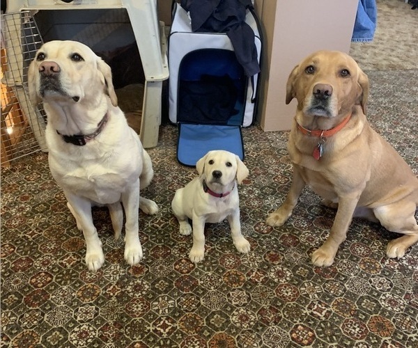 Medium Photo #2  Breeder Profile in FREDERIC, WI, USA