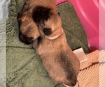Small #15 Breeder Profile image