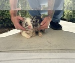 Small #2 Breeder Profile image