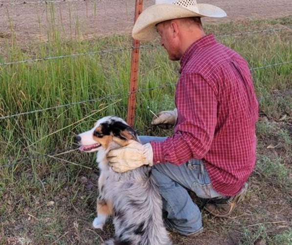 Medium Photo #36  Breeder Profile in AMERICUS, KS, USA