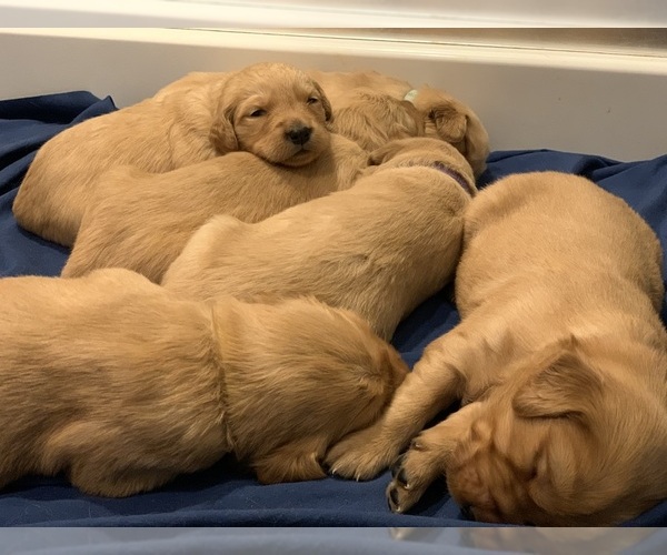 Medium Photo #10  Breeder Profile in LE ROY, MN, USA