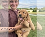 Small #12 Breeder Profile image