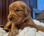 Small #2 Breeder Profile image