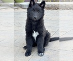 Small #2 Breeder Profile image