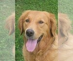 Small #1 Breeder Profile image