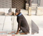 Small #5 Breeder Profile image