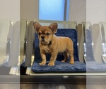 Small #12 Breeder Profile image