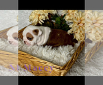 Small #4 Breeder Profile image