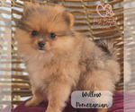 Small #2 Breeder Profile image