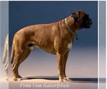 Small #6 Breeder Profile image