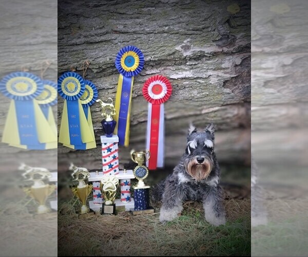 Medium Photo #1  Breeder Profile in ATHENS, AL, USA