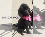 Small #2 Breeder Profile image