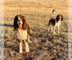 Small #6 Breeder Profile image