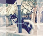 Small #24 Breeder Profile image