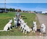 Small #6 Breeder Profile image